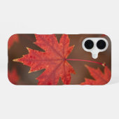 Red Maple Leaves Fall Phone Case iPhone 16ケース (裏面横)
