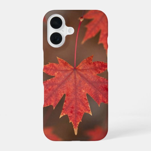 Red Maple Leaves Fall Phone Case iPhone 16ケース (裏面)
