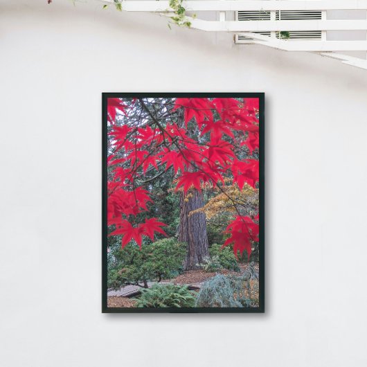 Red Maple Leaves in a Japanese Garden ポスター