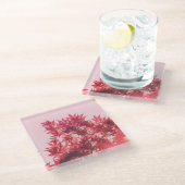 Red Maple Leaves on Pink ガラスコースター (アングル)