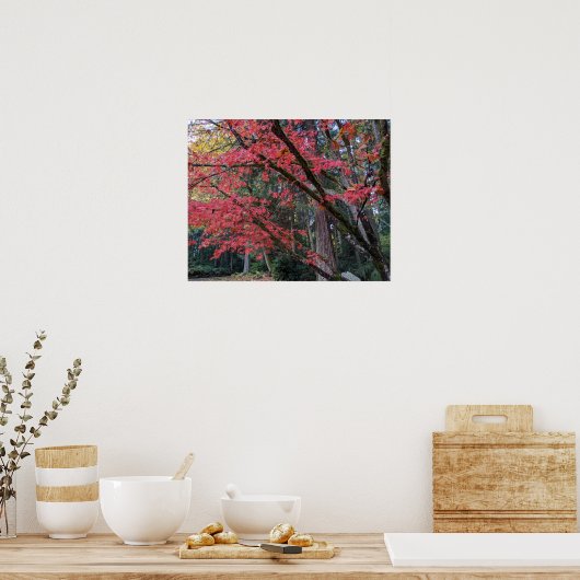 Red Maple Leaves on Tree Botancial ポスター (キッチン)