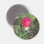 Red mushroom マグネット (正面/裏面)