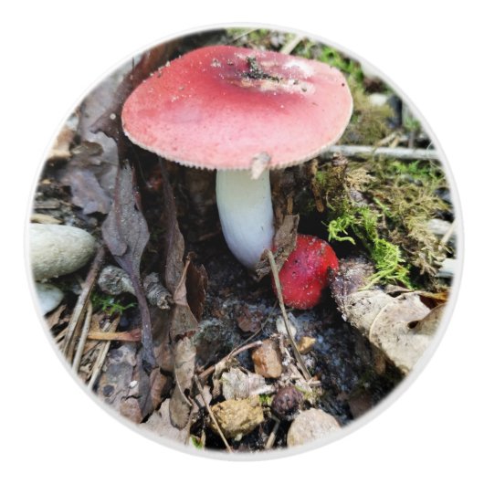Red Mushroom Fairy Ceramic Knob セラミックノブ (正面)