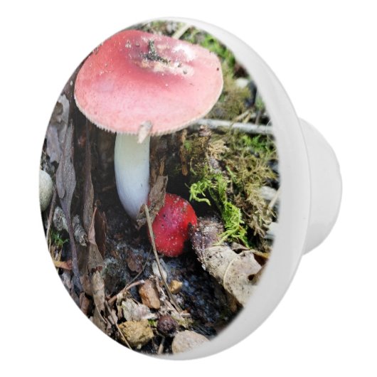 Red Mushroom Fairy Ceramic Knob セラミックノブ (右)