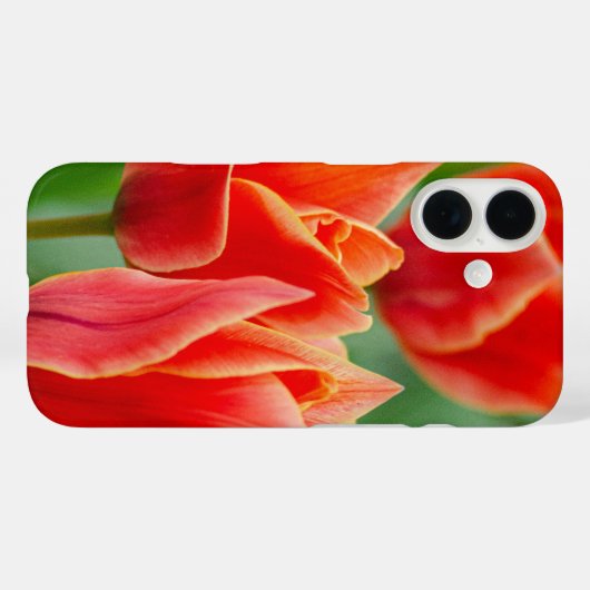 Red Orange Tulips iPhone 16 Case  Case-Mate iPhoneケース (裏面 (横))