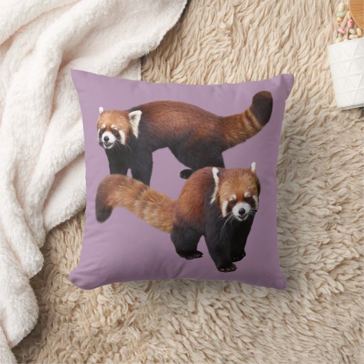 Red Panda クッション (ブランケット)