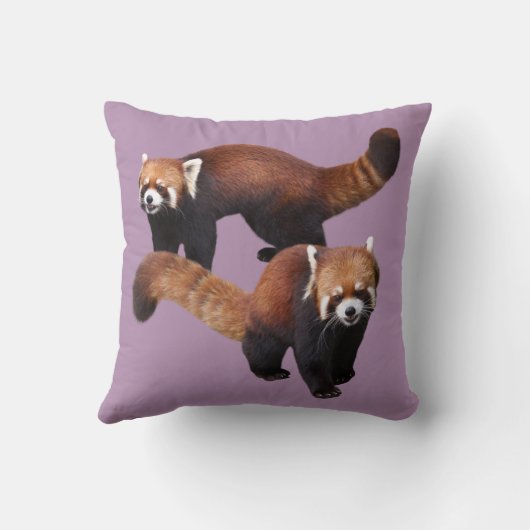 Red Panda クッション (裏面)