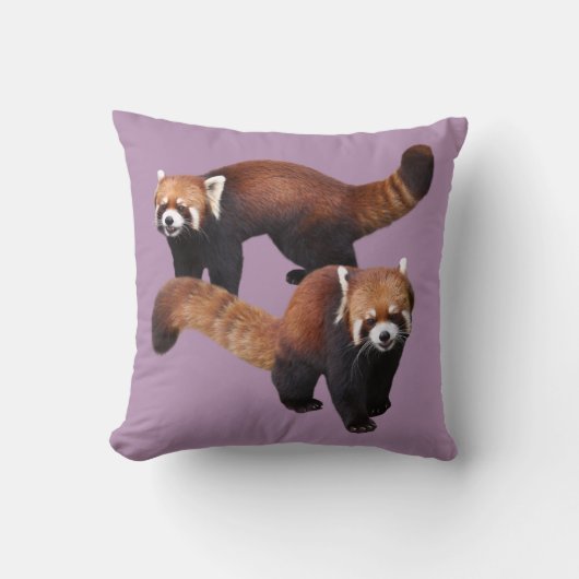 Red Panda クッション (正面)