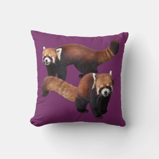 Red Panda クッション (正面)