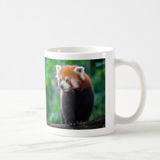 Red Panda コーヒーマグカップ (右)