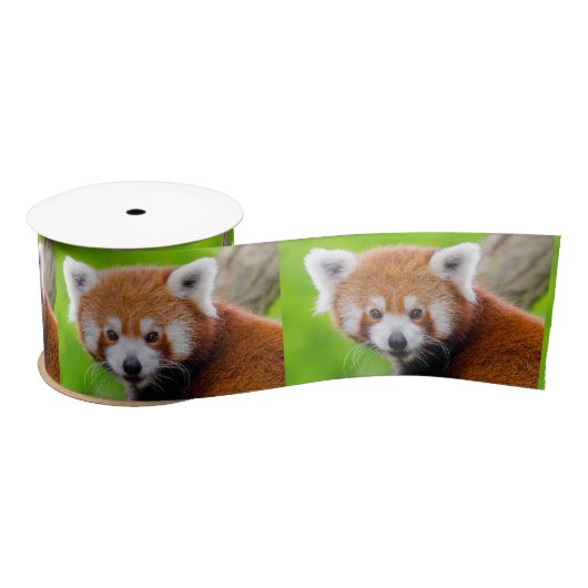 Red Panda サテンリボン (リール)