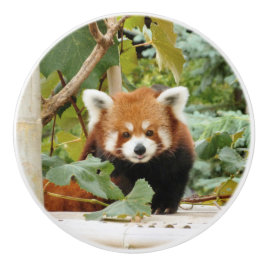 Red Panda セラミックノブ