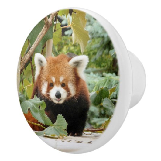 Red Panda セラミックノブ (右)