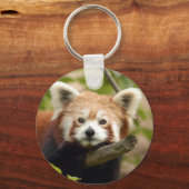 red-panda-007 キーホルダー (正面)