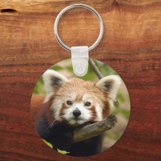 red-panda-007 キーホルダー (正面)