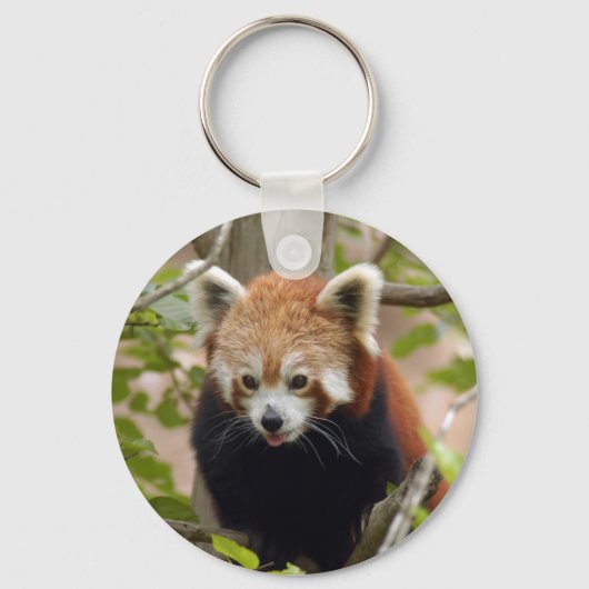 red-panda-024 キーホルダー (正面)