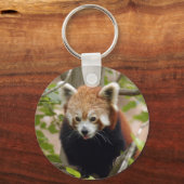 red-panda-024 キーホルダー (正面)