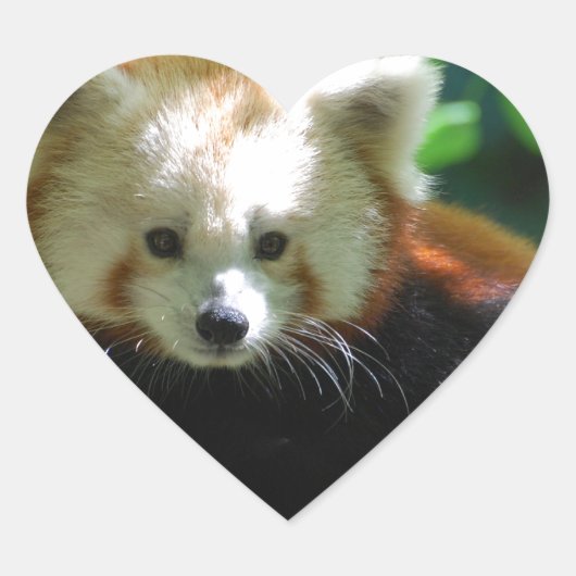 red-panda-11.jpg ハートシール (正面)