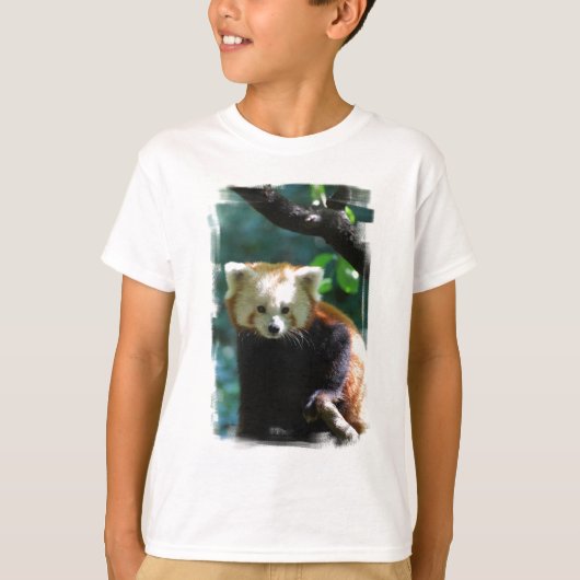 red-panda-11.jpg tシャツ (正面)