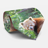 Red_Panda_2015_0306 ネクタイ (ロール)