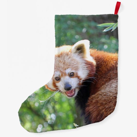 Red_Panda_2015_0306 ラージクリスマスストッキング (裏面)