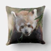 Red_Panda_2015_0311 クッション (裏面)