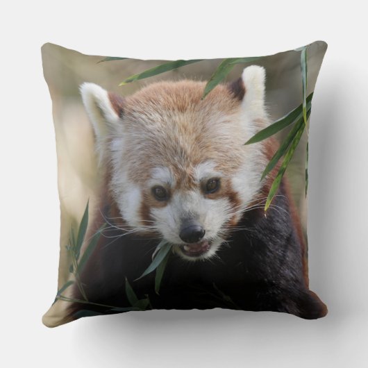 Red_Panda_2015_0311 クッション (裏面)