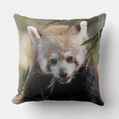 Red_Panda_2015_0311 クッション (正面)