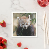 Red_Panda_2015_0311 スタンダードカクテルナプキン (インサイチュ)