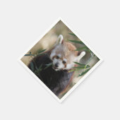 Red_Panda_2015_0311 スタンダードカクテルナプキン (角)