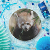 Red_Panda_2015_0311 ペーパープレート (パーティー)