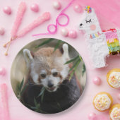 Red_Panda_2015_0311 ペーパープレート (パーティー)