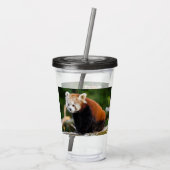 Red Panda Firefox アクリルタンブラー (裏面)