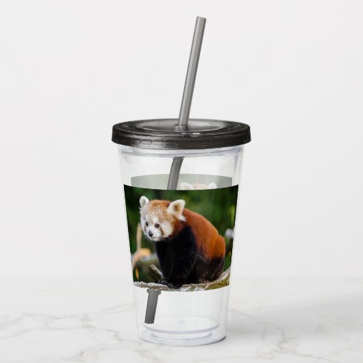 Red Panda Firefox アクリルタンブラー (裏面)