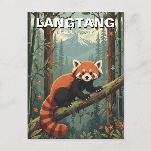 Red Panda in Langtang国立公園ネパール ポストカード (正面)