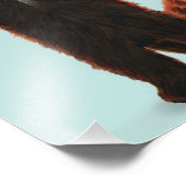 Red Panda Print フォトプリント (角)