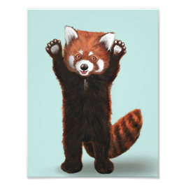 Red Panda Print フォトプリント
