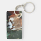 Red Panda, Taronga Zoo，シドニー，オーストラリア キーホルダー (裏面)