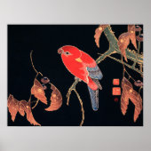 Red Parrot on Branch of Tree, ポスター (正面)
