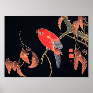 Red Parrot on the Branch of a Tree by Ito Jakuchu ポスター