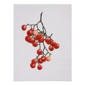 Red Peppercorns - Botanical Study 1 ポスター