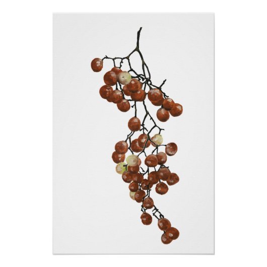 Red Peppercorns - Botanical Study 3 ポスター (正面)