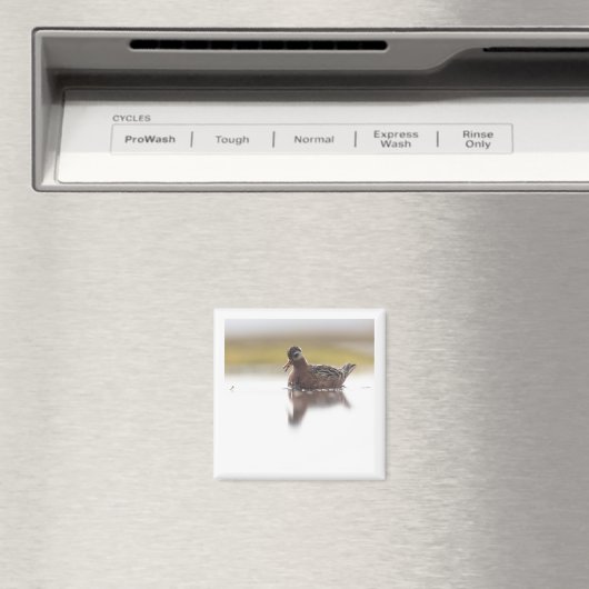 Red Phalarope 2x2 magnet マグネット (インサイチュ (食洗機))