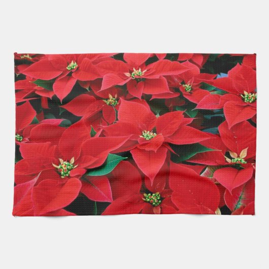 Red Poinsettia キッチンタオル (横)