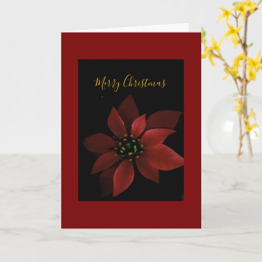 Red Poinsettia Merry Christmas  カード (黄色い花)