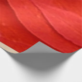 Red Poinsettias Iクリスマスホリデーフローラ写真 ウッドポスター (コーナー)