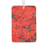 Red Poinsettias Iクリスマスホリデーフローラ写真 カーエアーフレッシュナー (裏面)