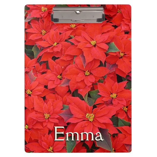 Red Poinsettias Iクリスマスホリデーフローラ写真 クリップボード (正面)