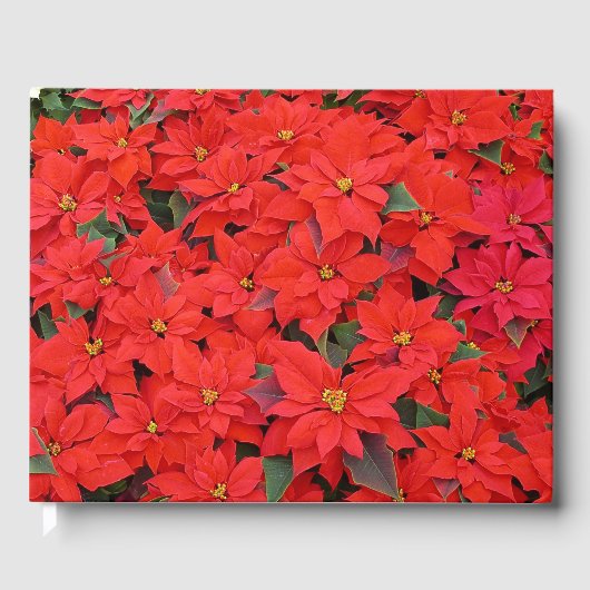 Red Poinsettias Iクリスマスホリデーフローラ写真 ゲストブック (正面)