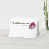 Red Poinsettias Iクリスマスホリデーフローラ写真 シーズンカード (裏面)